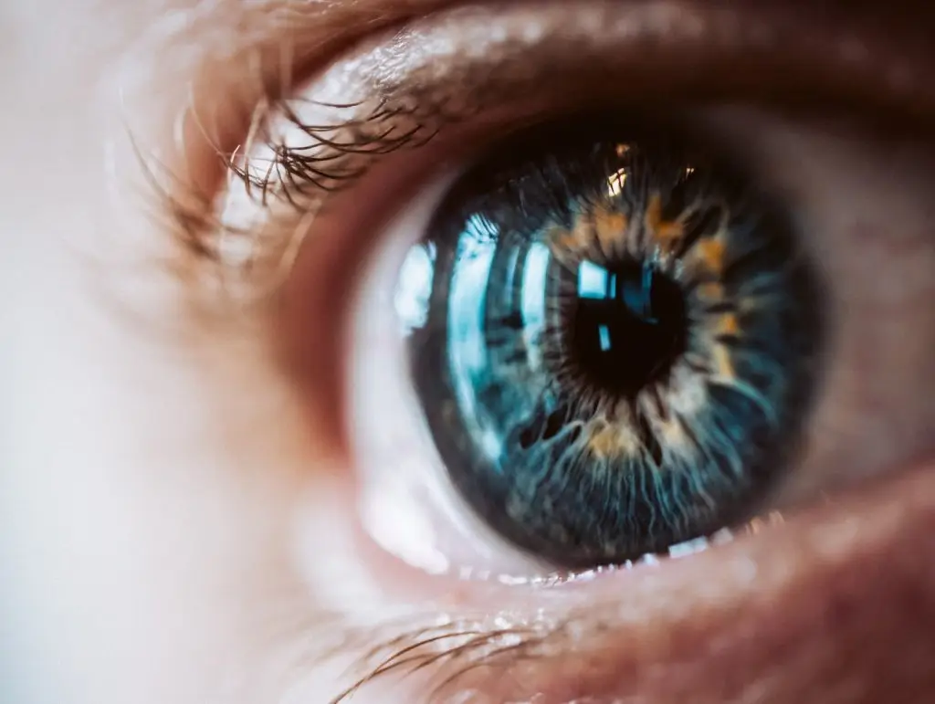Rexon-Eye