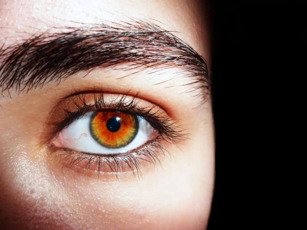 Allergies in the eyes